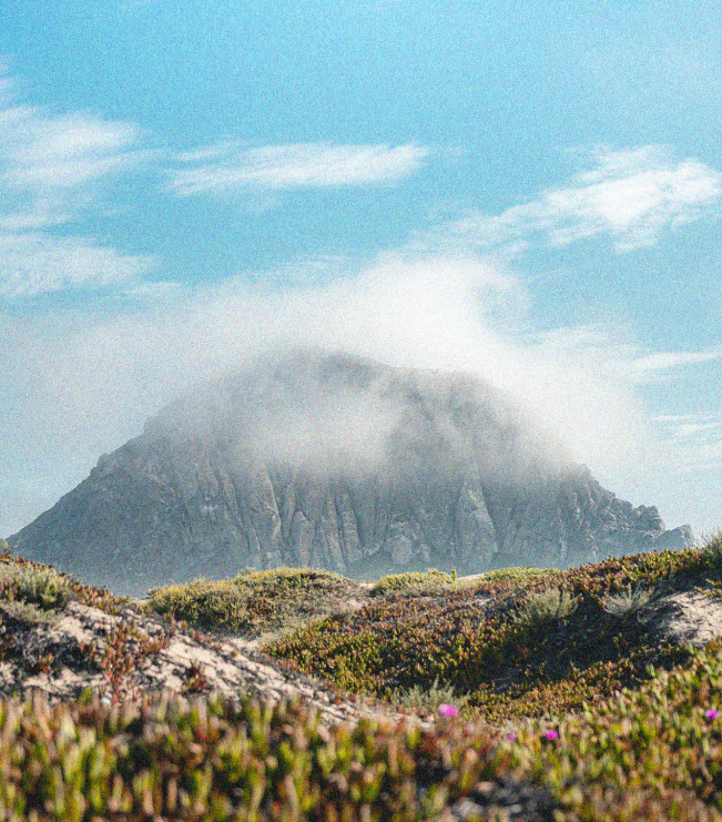 our-farm-mountain